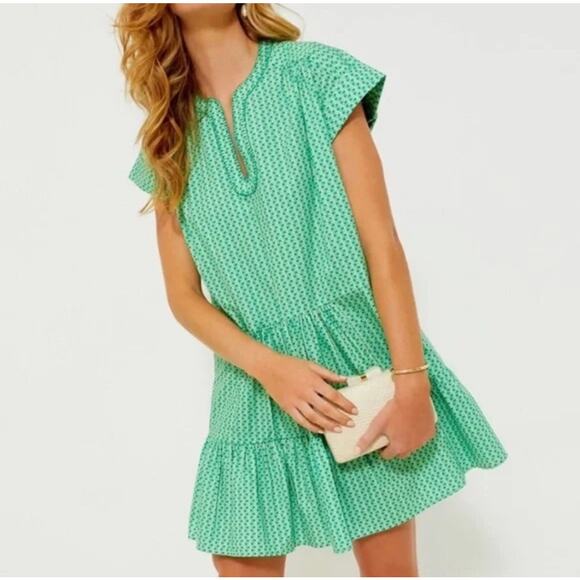 TUCKERNUCK Saloni Green Stripe Ashley-B Cotton Poplin Dress NWT Size 12 - Picture 1 of 6